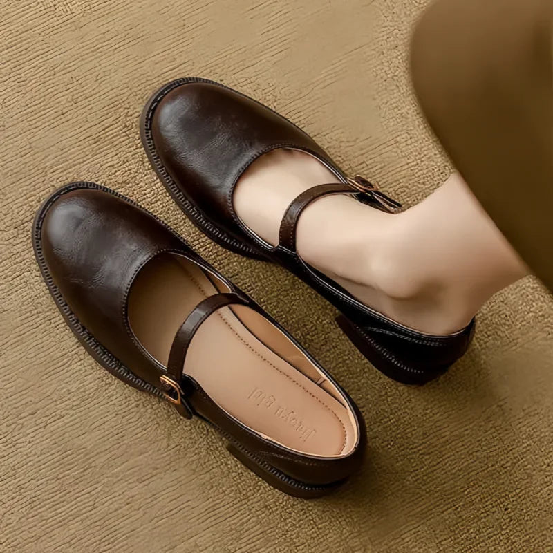 Brown Women's Leather Mary Janes — Nia Buckle-Strap Round-Toe Block Heel - Overhead Flatlay
