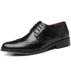 Black Men's Pointed Toe Oxford Shoes — Asher Lace-Up Brogue Leather - Angled View Single