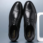 Black Men's Pointed Toe Oxford Shoes — Asher Lace-Up Brogue Leather - Top Down Pair