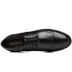 Black Men's Pointed Toe Oxford Shoes — Asher Lace-Up Brogue Leather - Top View Single