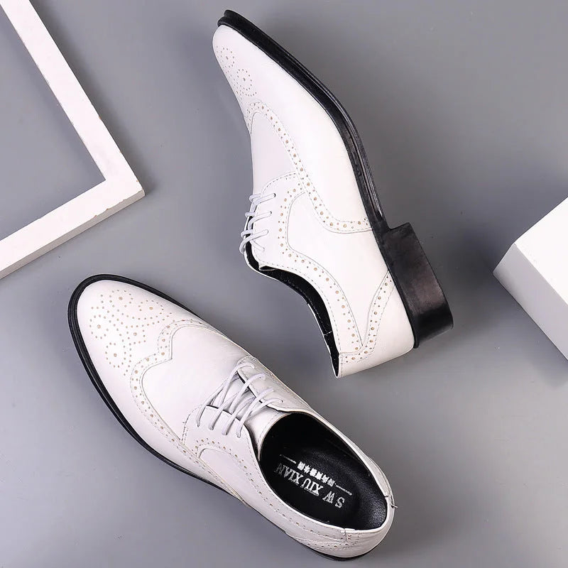 White Men's Pointed Toe Oxford Shoes — Asher Lace-Up Brogue Leather - Flat Lay Pair